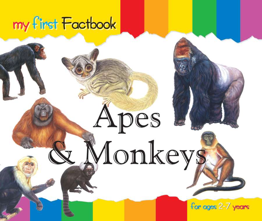 Apes & Monkeys