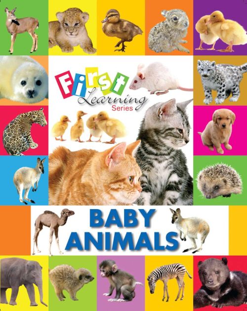 Baby Animals