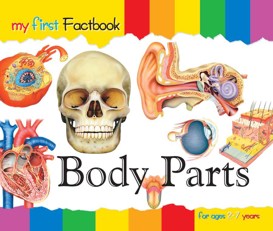 Body Parts