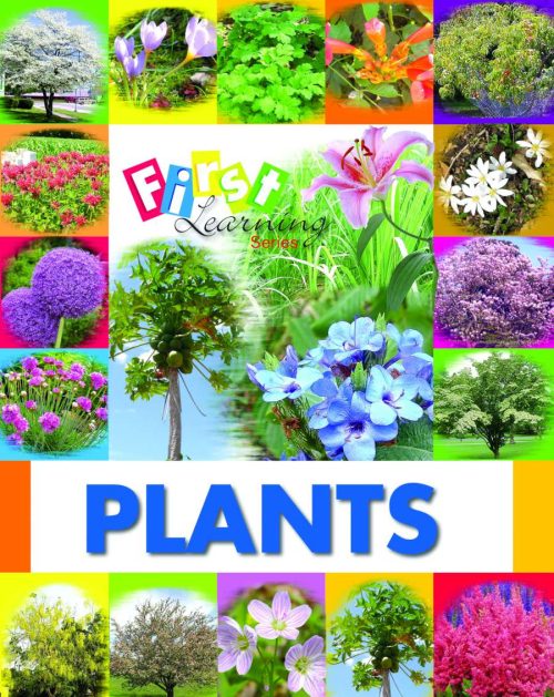 Plants