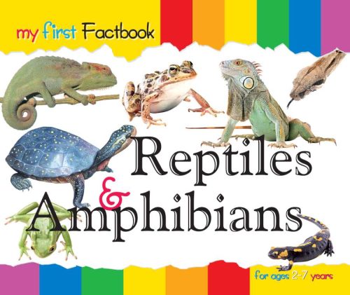Reptiles and Amphibians